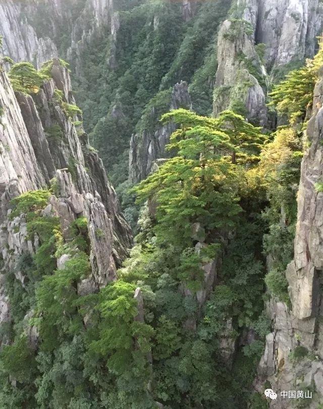 现在的年 轻人熬夜怎么度过的?都是喝的啥提神饮料呢?-专业解答你的问题